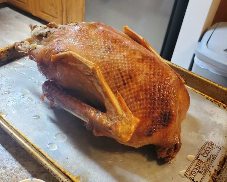 michaelmas-goose-recipe-that-s-nerdalicious
